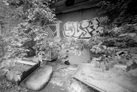 img6